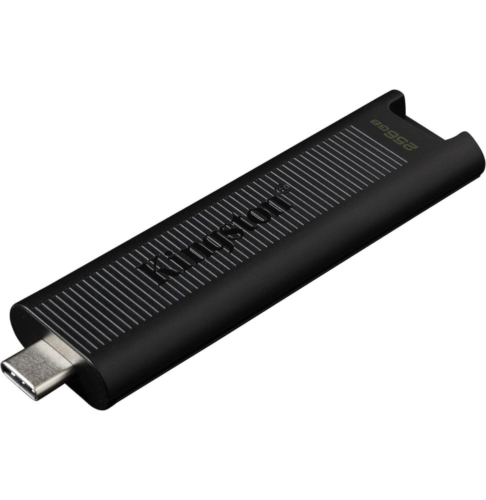 cle-usb-kingston-datatraveler-max-type-c-32-gen-2-31-gen-2-noir-256-go-dtmax-256gb