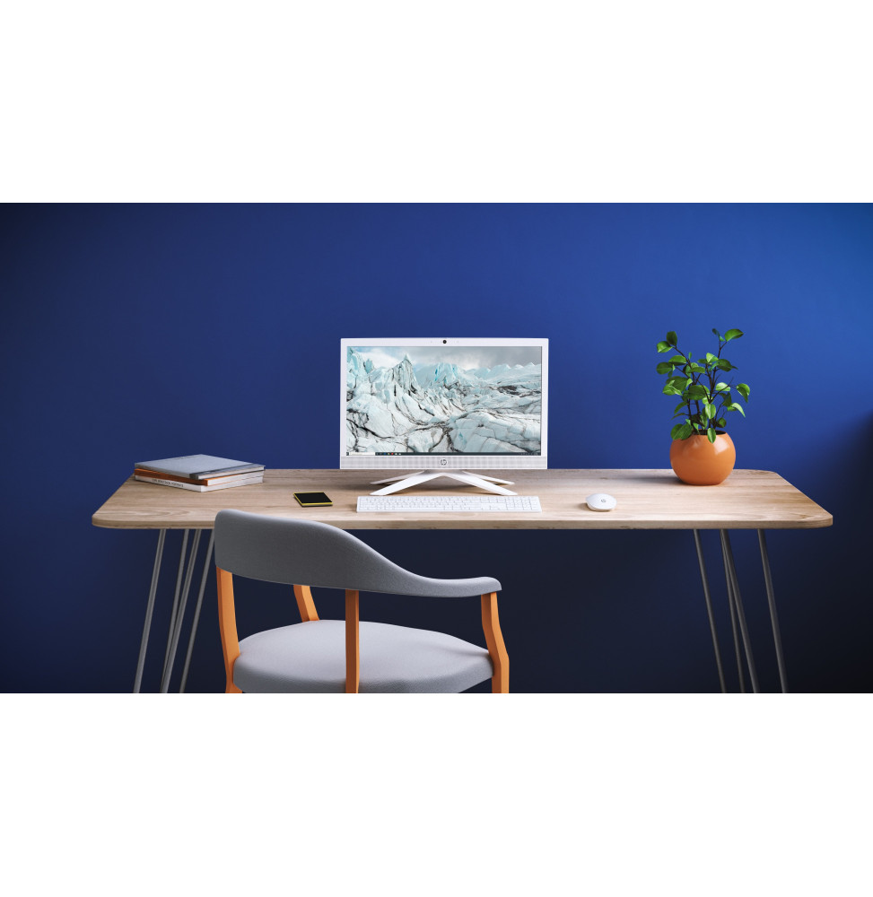 ordinateur-tout-en-un-hp-21-b0008nk-601u9ea