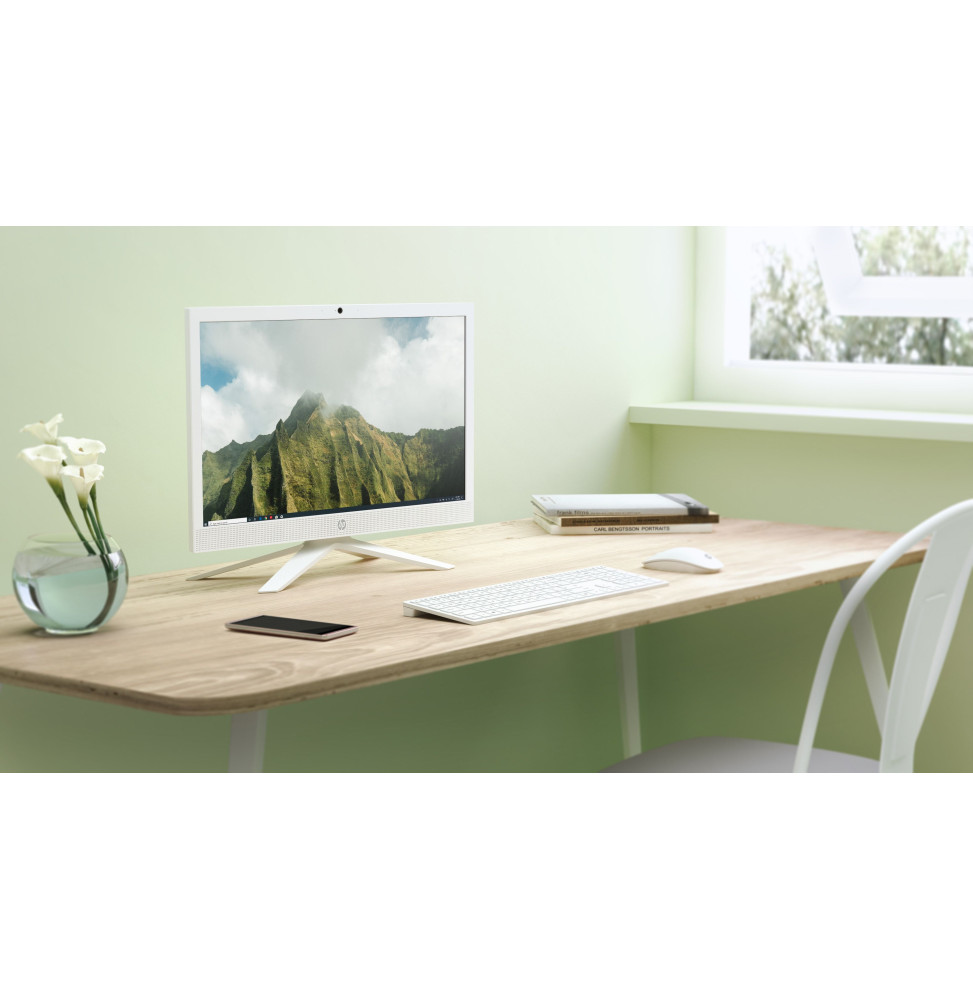 ordinateur-tout-en-un-hp-21-b0008nk-601u9ea